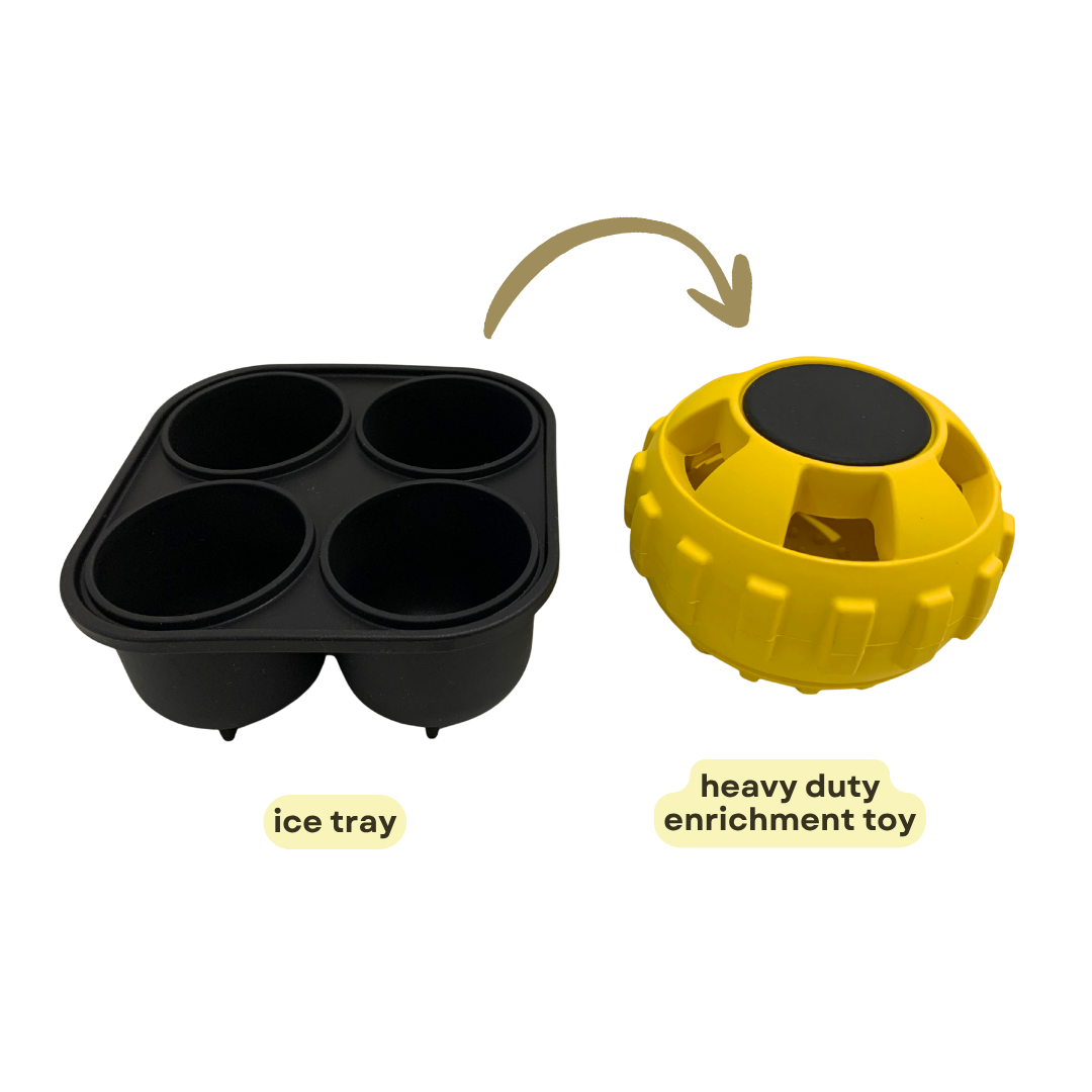 Heavy Duty Treat Enrichment Toy