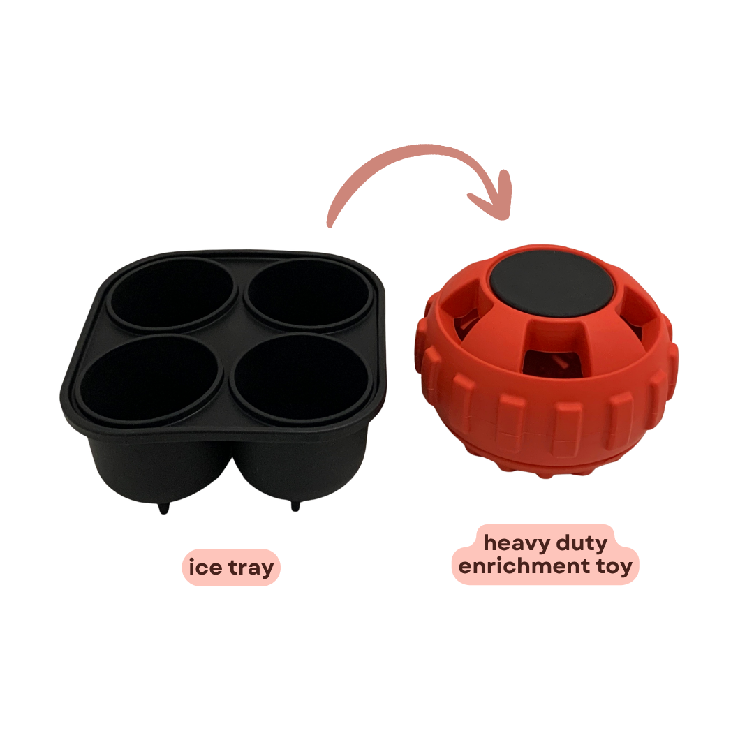 Heavy Duty Treat Enrichment Toy