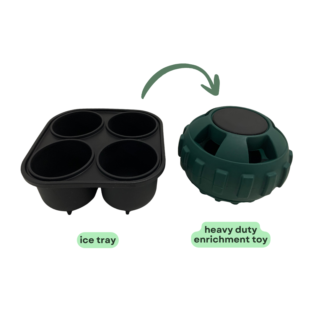 Heavy Duty Treat Enrichment Toy