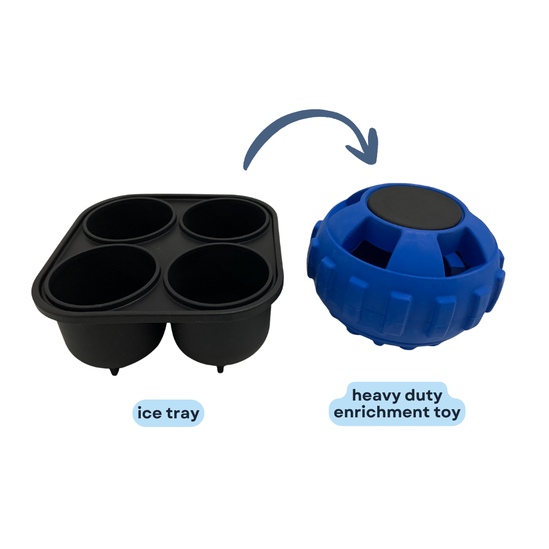 Heavy Duty Treat Enrichment Toy